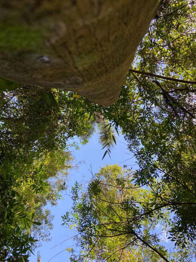 Sitio Metropole - Refugio Na Natureza ピラジュ エクステリア 写真