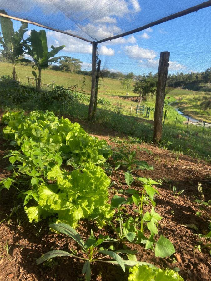 Sitio Metropole - Refugio Na Natureza ピラジュ エクステリア 写真